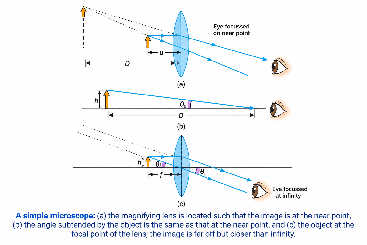 Figure 9.23: A simple microscope ray diagram.